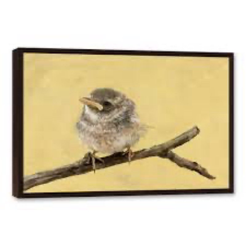 Little bird