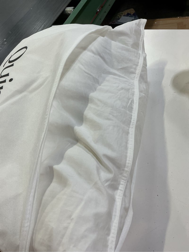 Condition photo showing Good Condition for premium down pillow, standard, soft