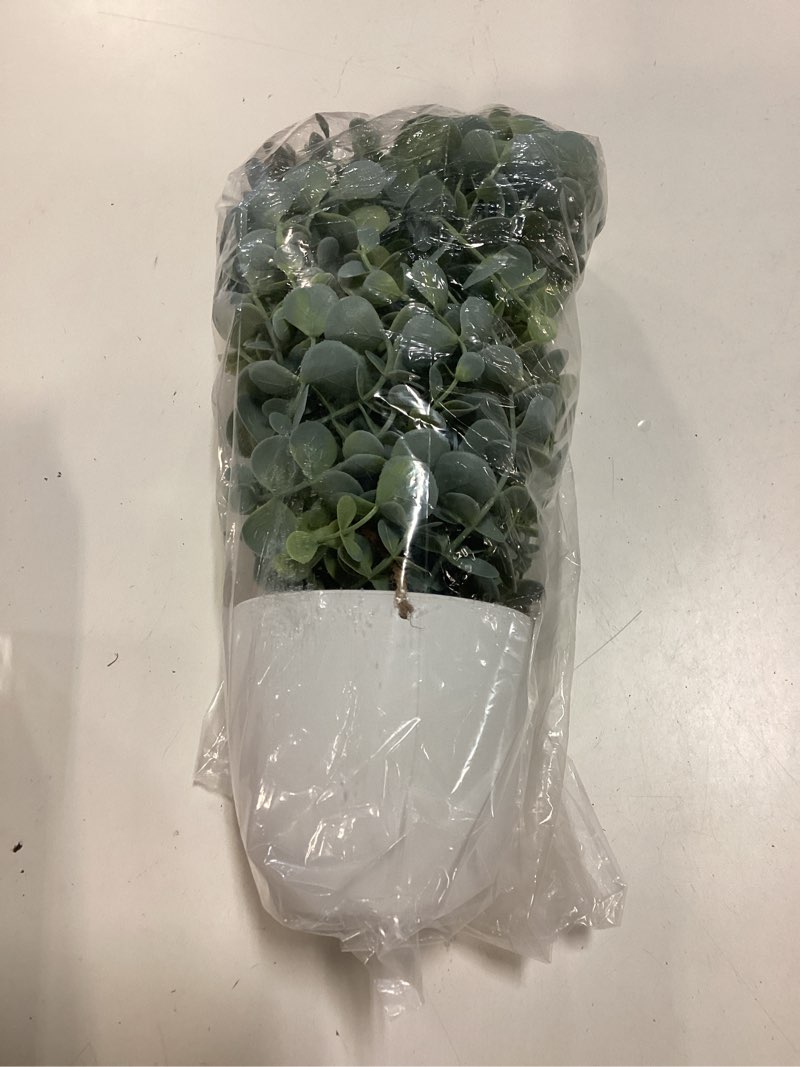 Condition photo showing New/Like New for decorative hanging plants for shelf, faux ivy eucalyptus vine, fake greenery in white pot with lanyard (full, large pot)