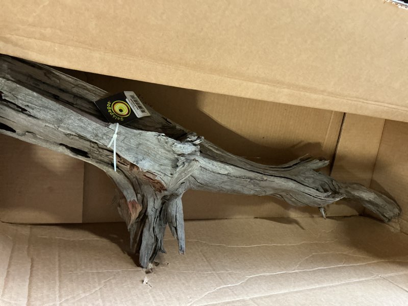 Condition photo showing New/Like New for Galapagos Galapagos 35-47" Malaysian Sinkable Driftwood, Natural, Huge