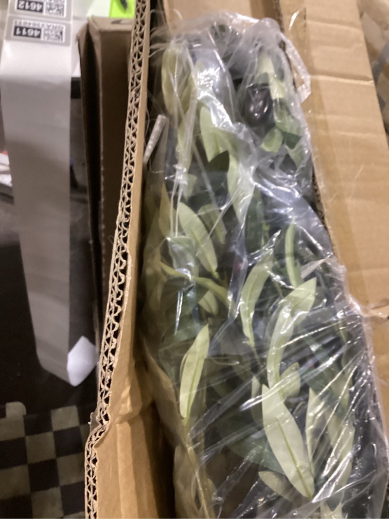 Condition photo showing Good Condition for Bellacat Faux Olive Tree 6ft?Olive Trees Artificial Indoor with Natural Wood Trunk and Realistic Leaves and Fruits. 6 Feet(72in) Fake Olive Tree for Home House Office Décor. 1 6ft