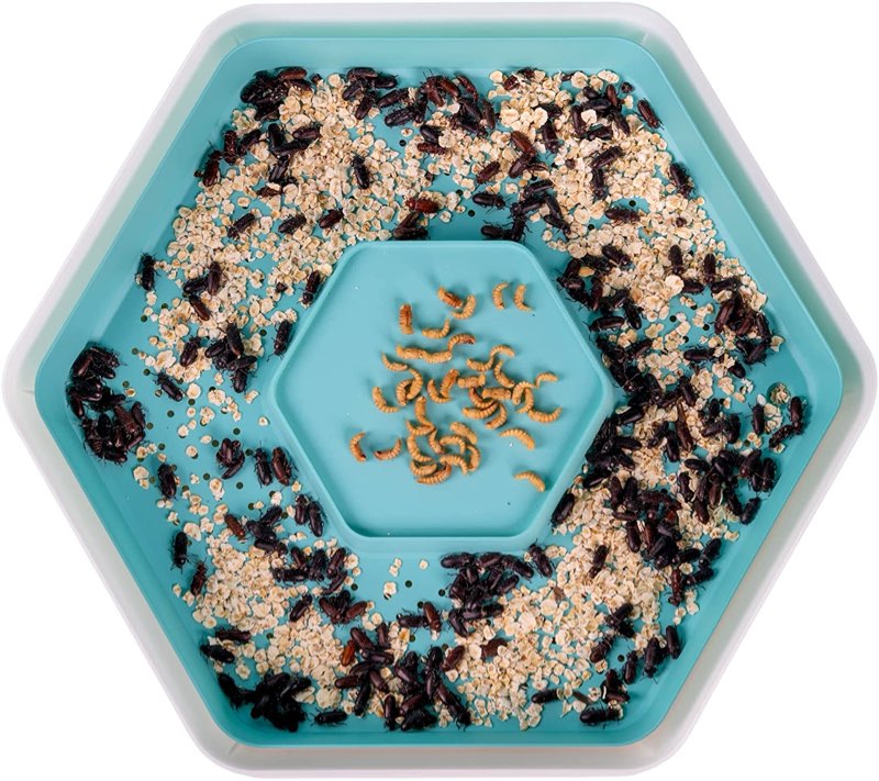 Mealworm Habitat: 3 Growing Pod