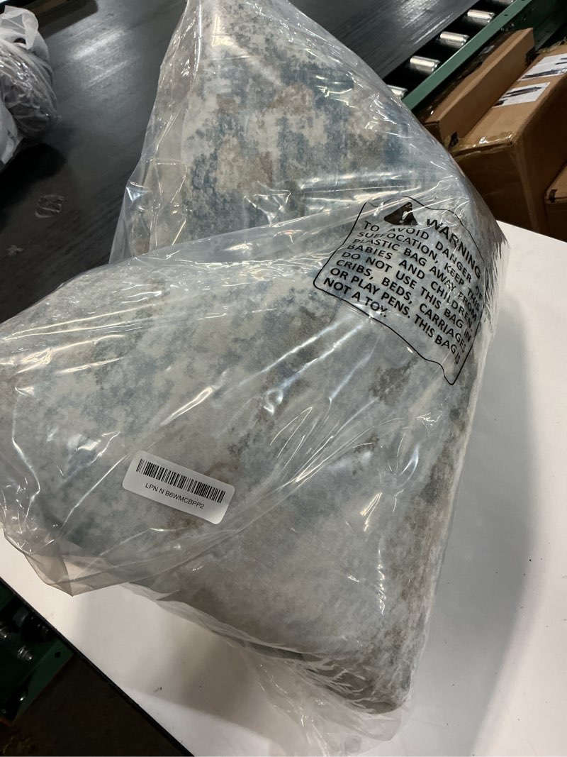 Condition photo showing Good Condition for pmtsns area rugs 8x10 for living room: washable rug modern abstract neutral soft non-slip low-pile indoor large carpet for bedroom dining room playroom home office (light blue brown, 8'x10') lightbluebrown 8' x 10' (rectangular)