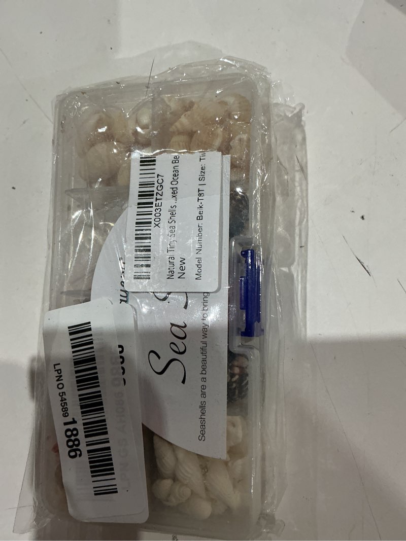 Condition photo showing Good Condition for premium tiny seashell mix, including sea shells, sea snails and starfish total 300+pcs (8 kinds), shells for crafts decorating resin and mosaics projects diy crafts home decor beach themed party