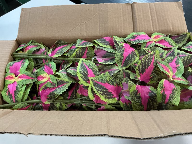 Condition photo showing New/Like New for florisso artificial greenery plants outdoor, 5 pcs faux coleus plants uv resistant silk plants with stems, fake plants for outside garden patio hanging planter pathway front porch decoration(red)