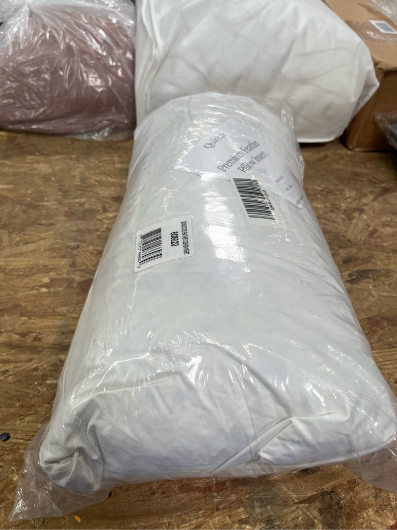 Condition photo showing Good Condition for premium feather pillow insert, 20x20, no color