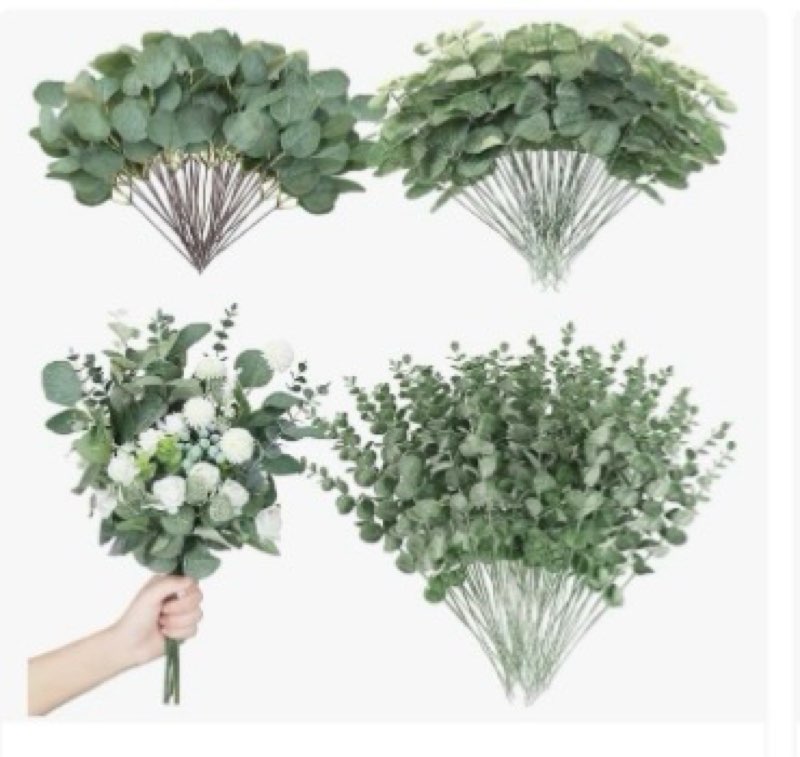 180 Pcs 3 Kinds Mixed Artificial Eucalyptus Stems Bulk Fake Silver Dollar Eucalyptus Leaves Greenery