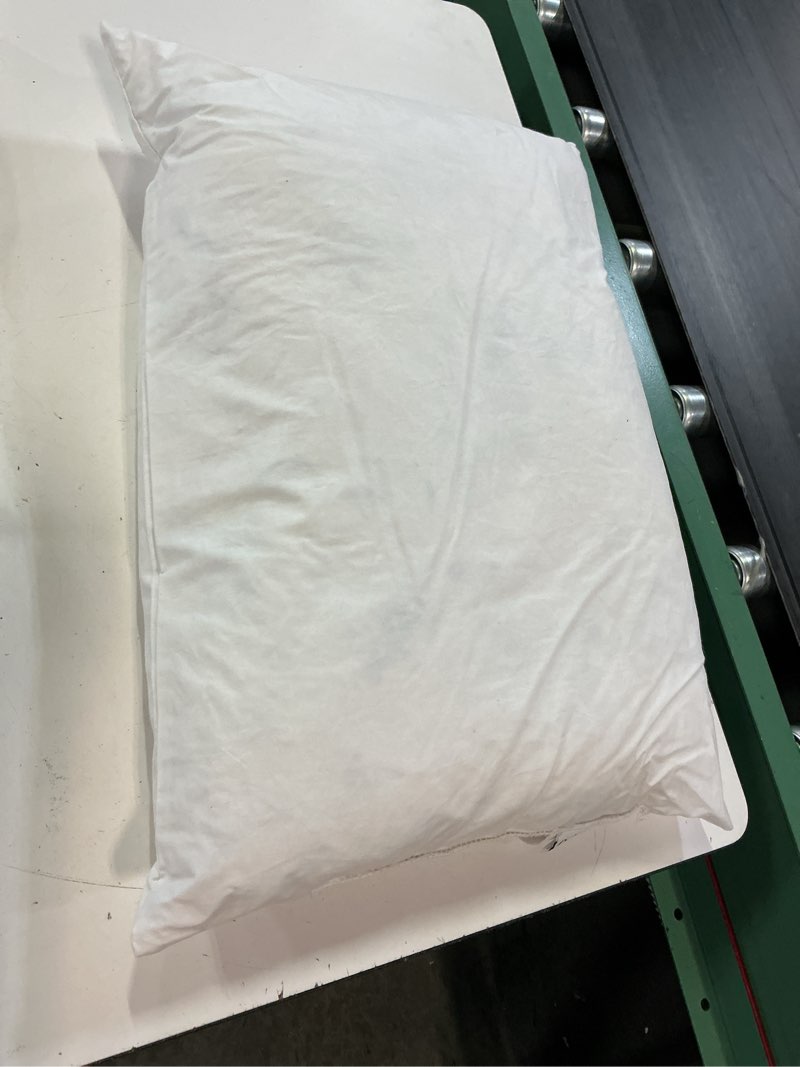 Condition photo showing As Is for premium feather pillow insert, 12x20, no color