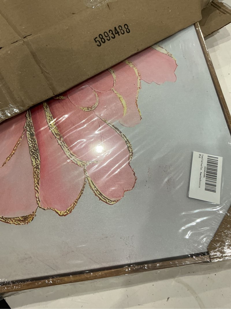Condition photo showing Good Condition for framed pink peony flower canvas wall art modern pink and gold floral painting decor pictures abstract flowering posters prints for corridor living classroom bedroom woman room decoration
