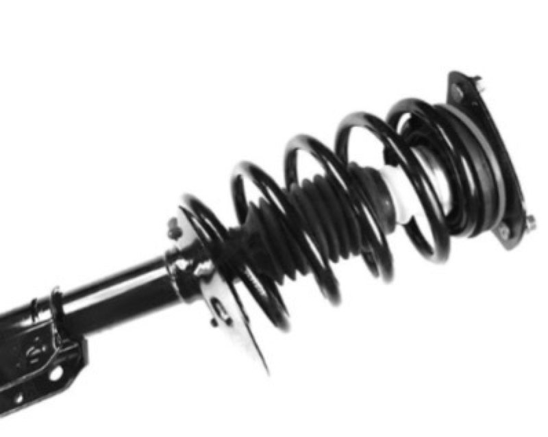 fcs 1332348 complete strut assembly