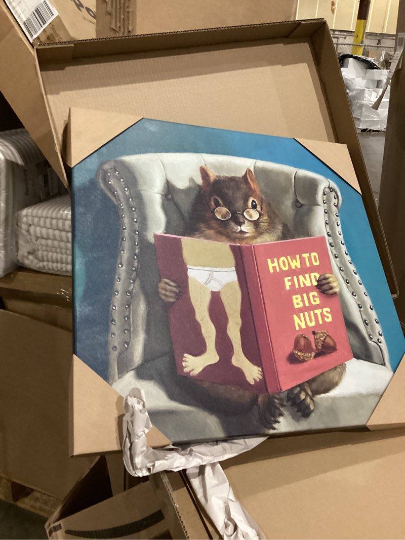 Condition photo showing New/Like New for Stupell Industries Squirrel Reading Red Book on Chair Sassy Humor Black Framed Wall Art, 12 x 12