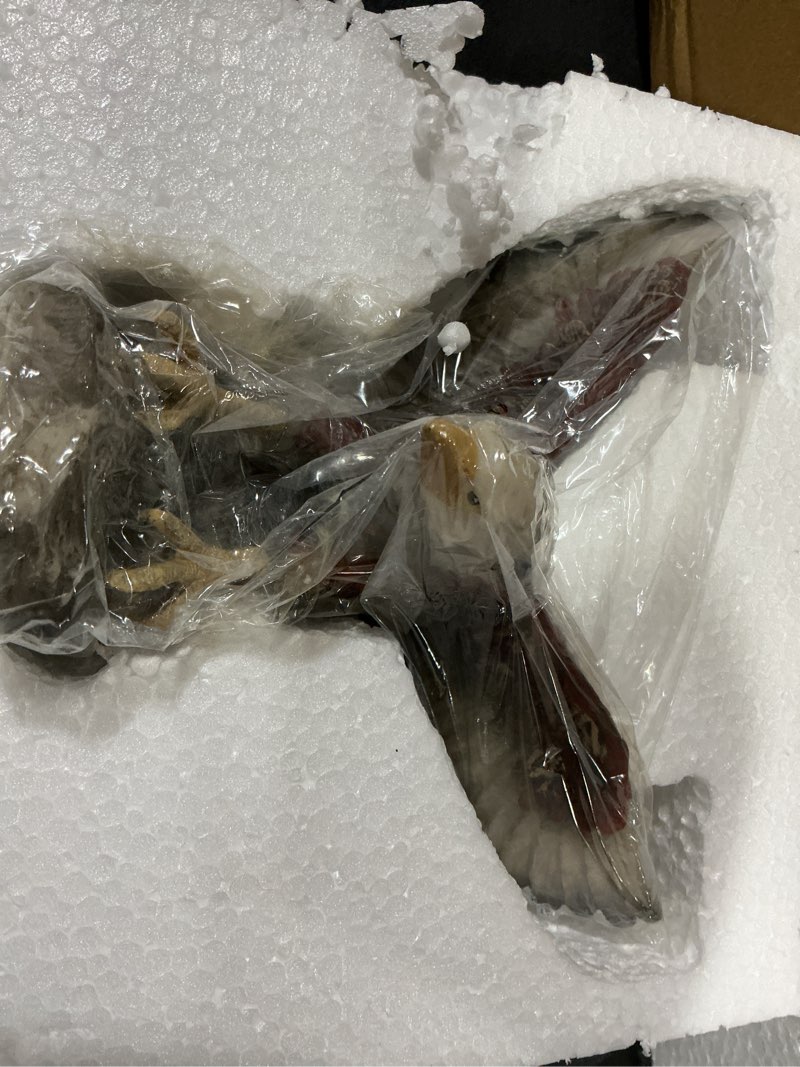 Condition photo showing Good Condition for DESHINTKE Simulated Eagle Resin Ornaments Statue, Colorful Eagle Sculpture Modern Home Office Figurine Decor (Colorful)