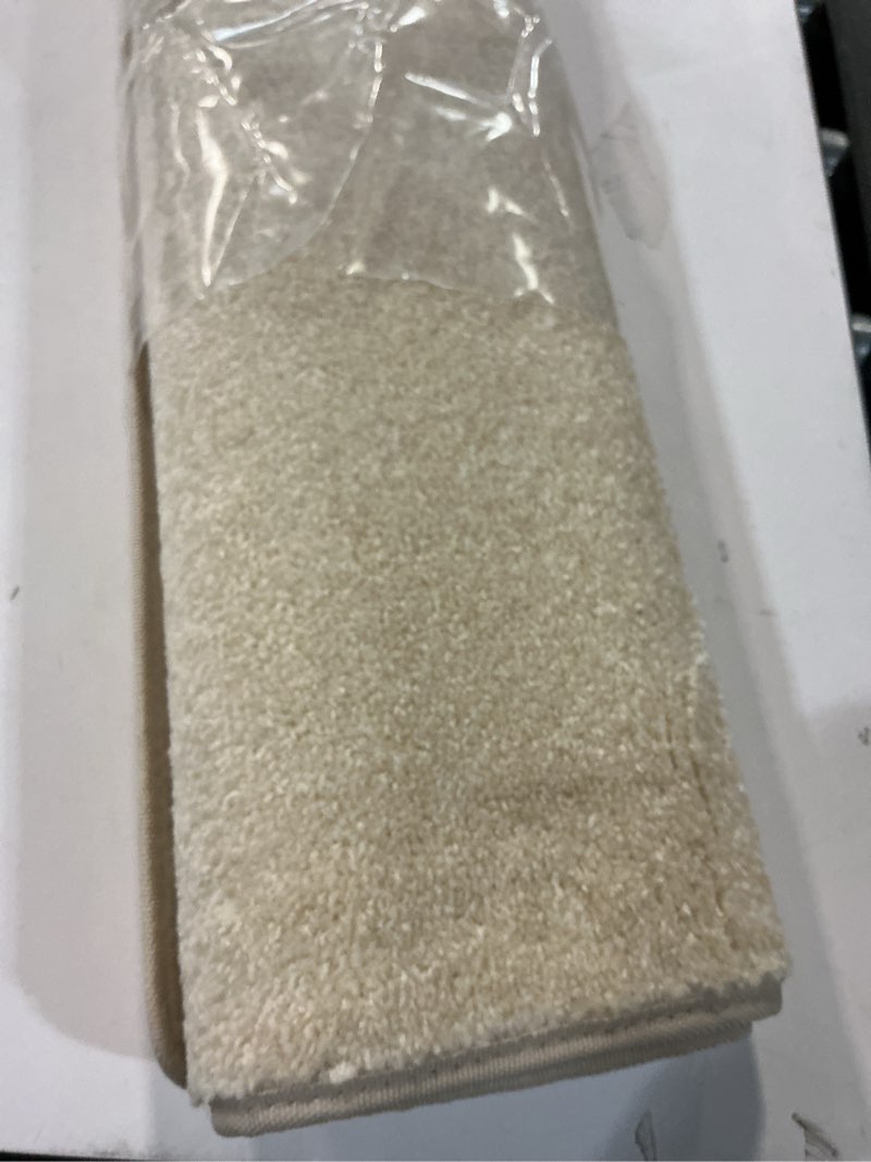 Condition photo showing Good Condition for PURE ERA Carpet Stair Tread Landing Mat Tape Free Self Adhesive Non Slip Skid Resistant Indoor Doormat Area Rug Floor Mat for Kitchen Bathroom Workstations Washable 2' X 3' (Light Beige)