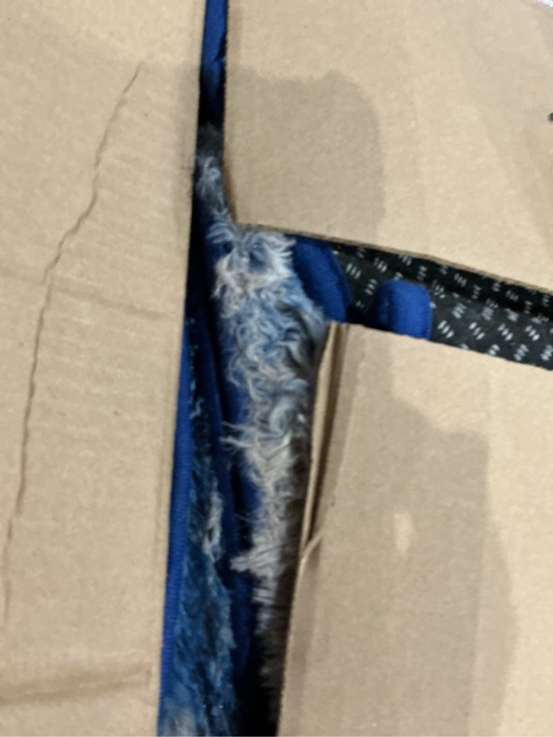 Condition photo showing Good Condition for ophanie 6x9 blue and gray area rugs for living room, large navy grey white fluffy shag fuzzy plush soft carpets, floor shaggy rugs for bedroom, carpet for kids boys dorm nursery home decor aesthetic blue/white/grey rectangular 6' x 9' (rectangular)