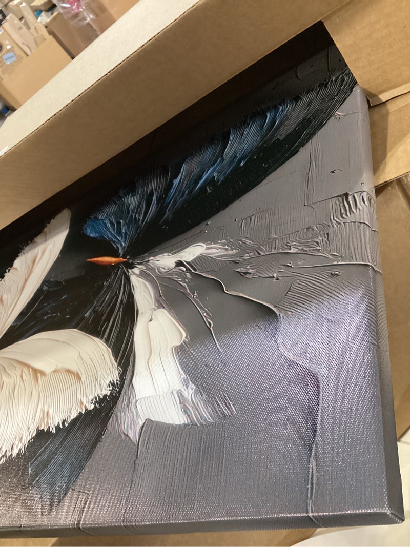 Condition photo showing Good Condition for 2d butterfly canvas wall art black and white butterflies painting style artwork abstract butterfly picture prints modern minimalist wall decor for living room bedroom bathroom office 12*16 in (canvas? black white butterfly art wrapped canvas 16"l x 12"w