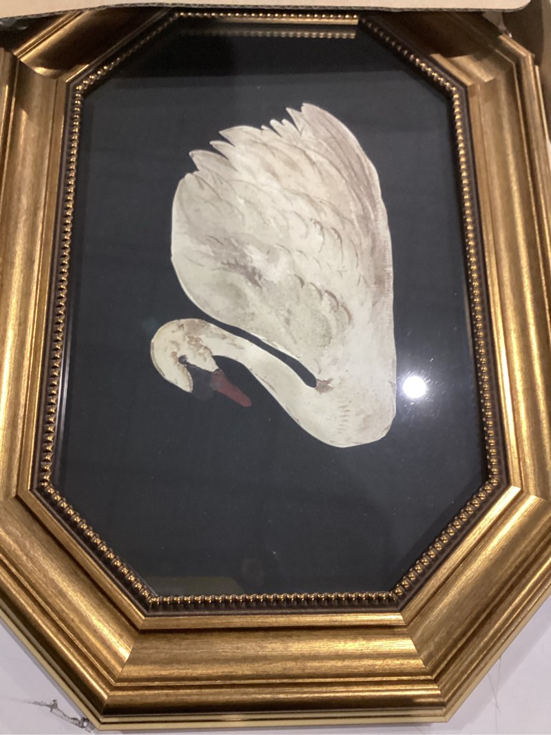 Condition photo showing Good Condition for Zelvix Vintage Wall Art Framed, Gold Framed Wall Art Decor, Black Swan Classical Vintage Painting Prints, 8"x12" Picture Frame for Living Room Bathroom Kitchen Bedroom 8"L x 12"W ?Swan?