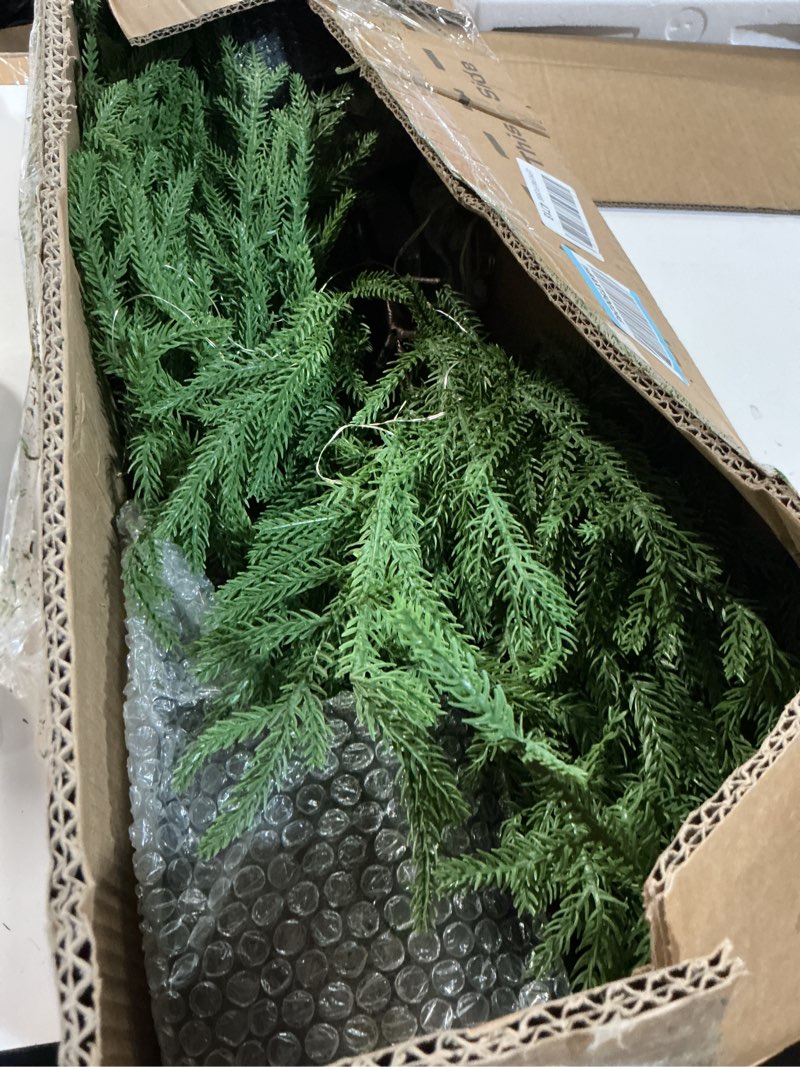 Condition photo showing As Is for 3FT Pre-Lit Artificial Norfolk Pine Christmas Tree – Realistic Potted Tree with 70 LED Lights & 8-Mode Battery Box, Pre-Assembled Faux Holiday Decor for Indoor Display (2)