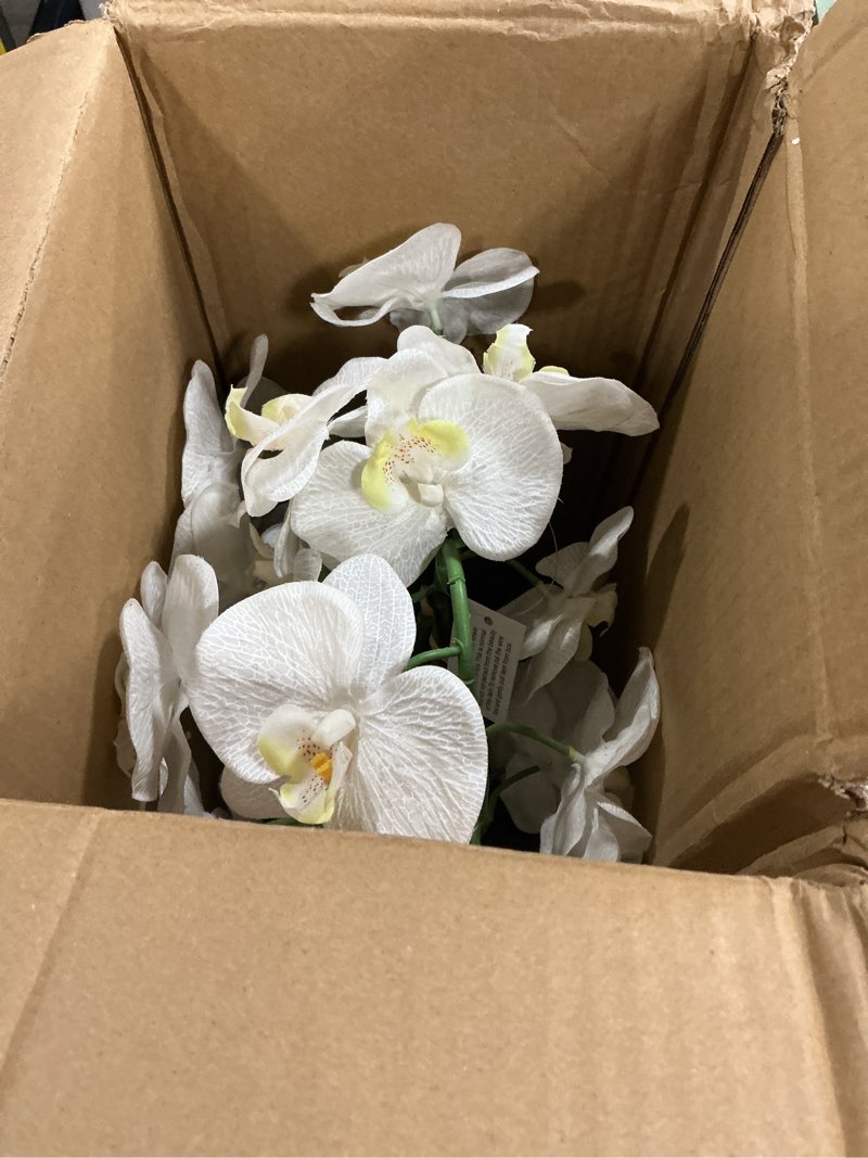 Condition photo showing Good Condition for Nearly Natural 4570 Triple Phalaenopsis Orchid in Glass Vase,Green/White