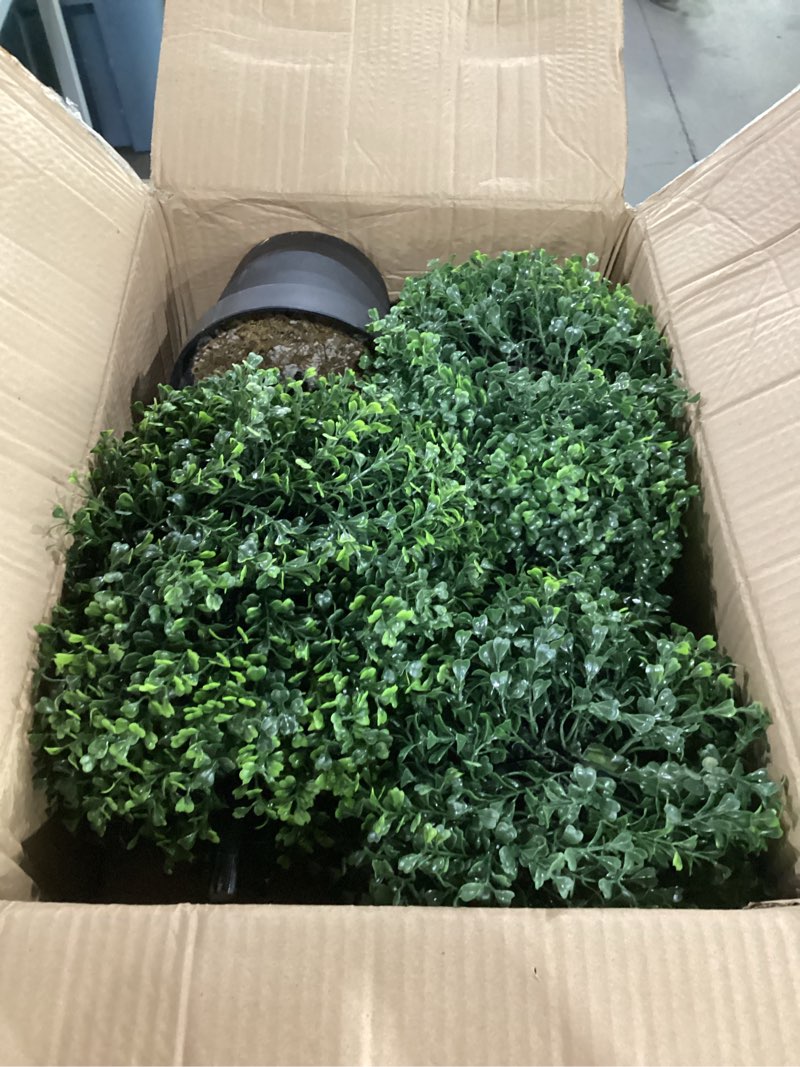 Condition photo showing As Is for nearly natural 36in artificial triple ball boxwood topiary tree - indoor outdoor realistic faux greenery for home patio office decor, low maintenance
