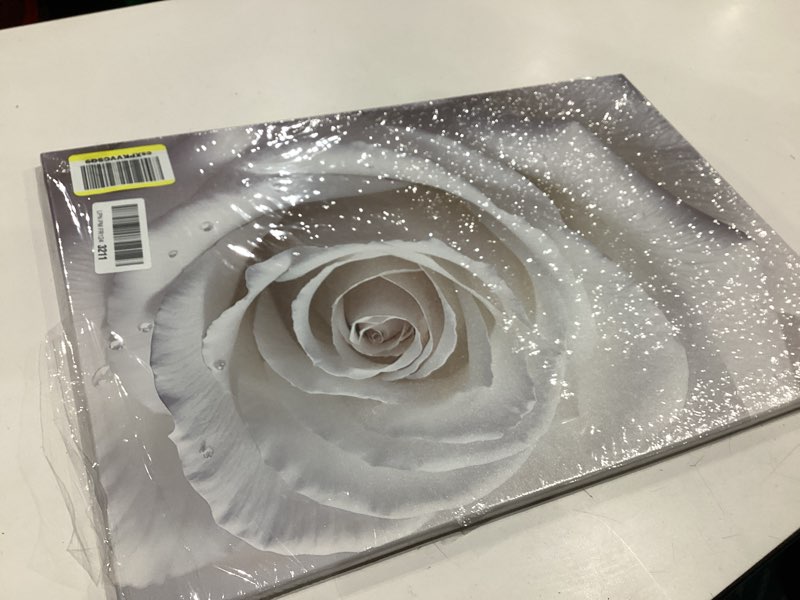 Condition photo showing Good Condition for rose canvas wall art for bathroom wall decor white flower picture prints romantic rose floral paintings modern home decor framed(rose-5,16.00" x 24.00") rose-5 16"l x 24"w