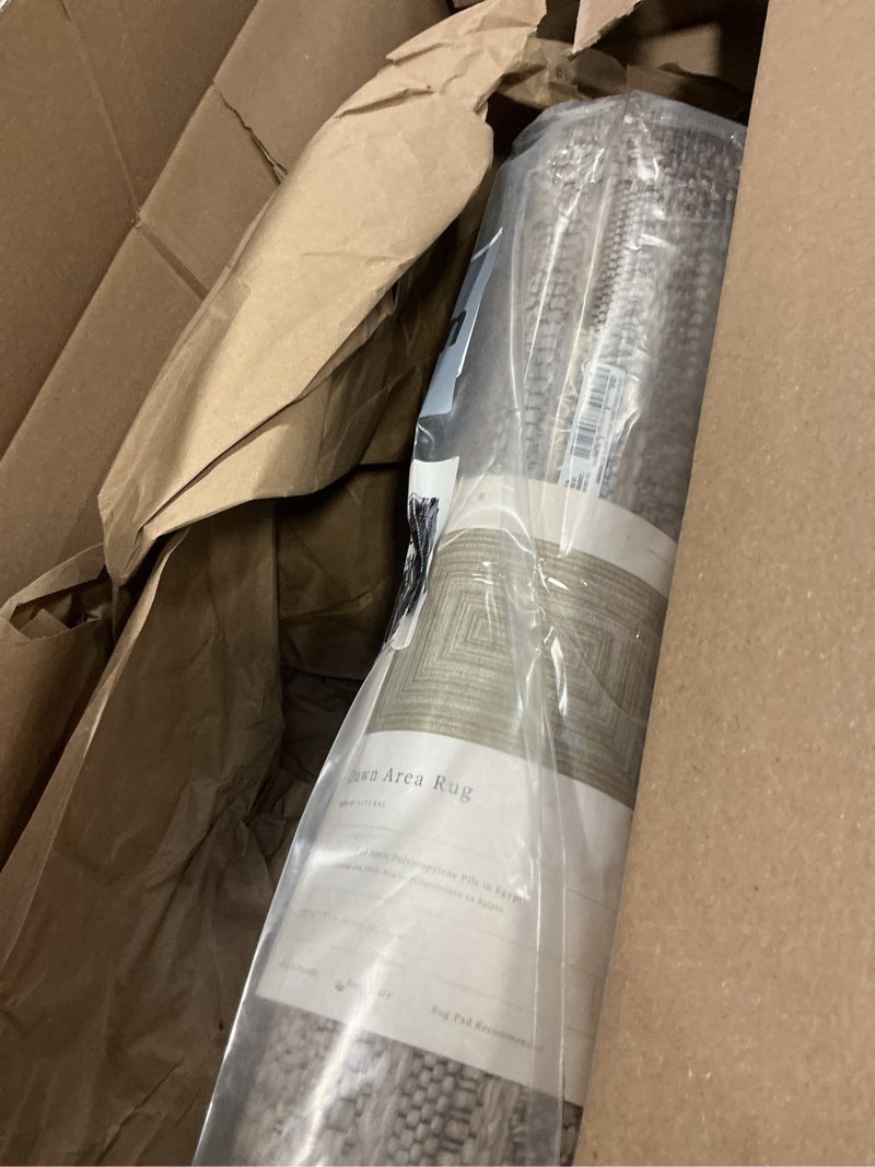 Condition photo showing New/Like New for Loloi Dawn Collection Indoor/Outdoor DAW-01 Natural 8'-10" x 12'-2" Area Rug Natural 8'10" x 12'2" (Rectangular)