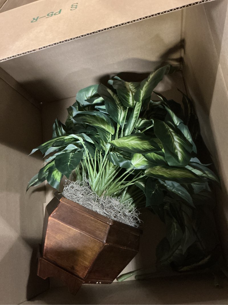 Condition photo showing Good Condition for nearly natural 24in artificial dieffenbachia silk plant with modern hexagon planter, maintenance-free indoor faux greenery for room decor