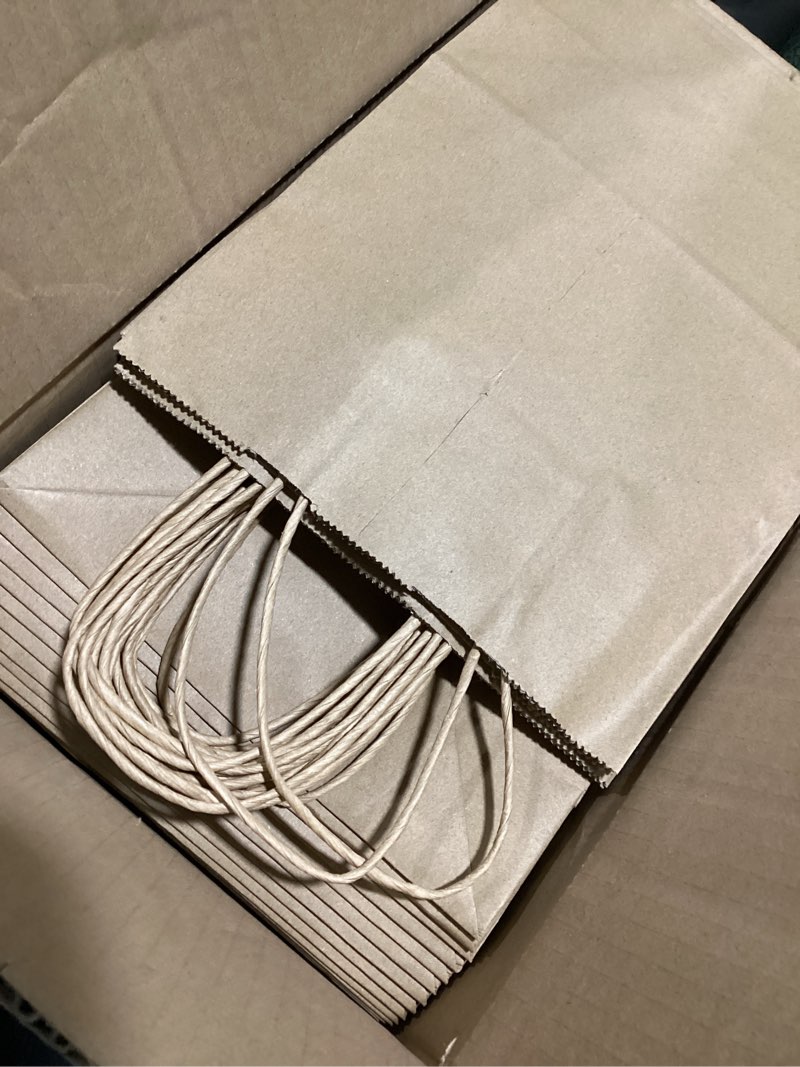 RACETOP Brown Paper Bags with Handles Bulk 100Pcs 8x4.5x10.8 Inch Gift Bags Bulk, Brown Kraft Paper 