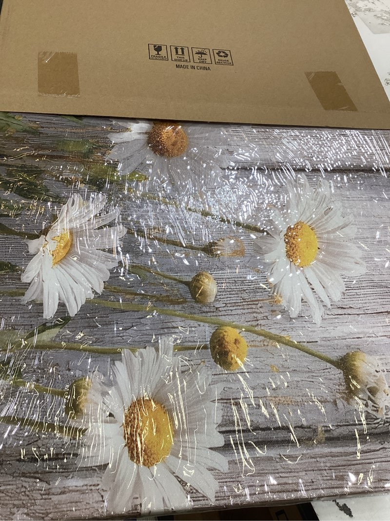 Condition photo showing Good Condition for kzku canvas floral wall art rustic daisy white flowers on weathered wood background- large framed modern decor for living room bedroom 20x40in office home decor ready to hang 40"l x 20"w grey
