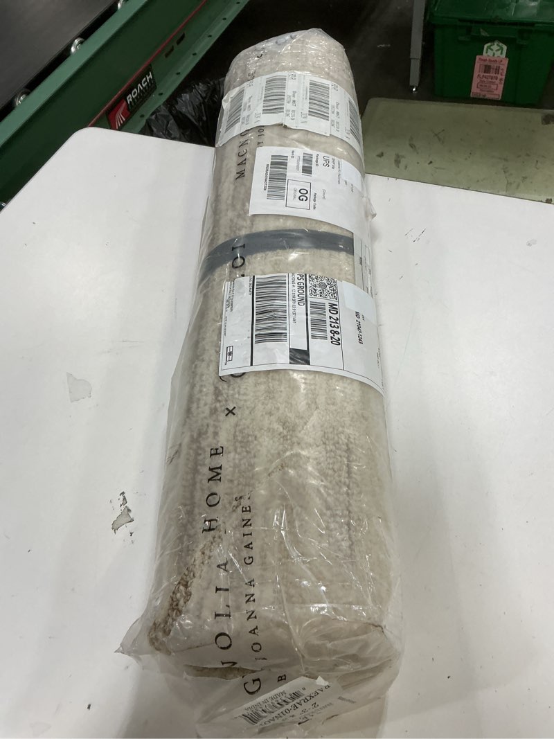 Condition photo showing New/Like New for loloi magnolia home by joanna gaines rae collection rae-01 natural/oatmeal 2'-3" x 3'-9" accent rug rectangular natural / oatmeal 2'3" x 3'9" (rectangular)