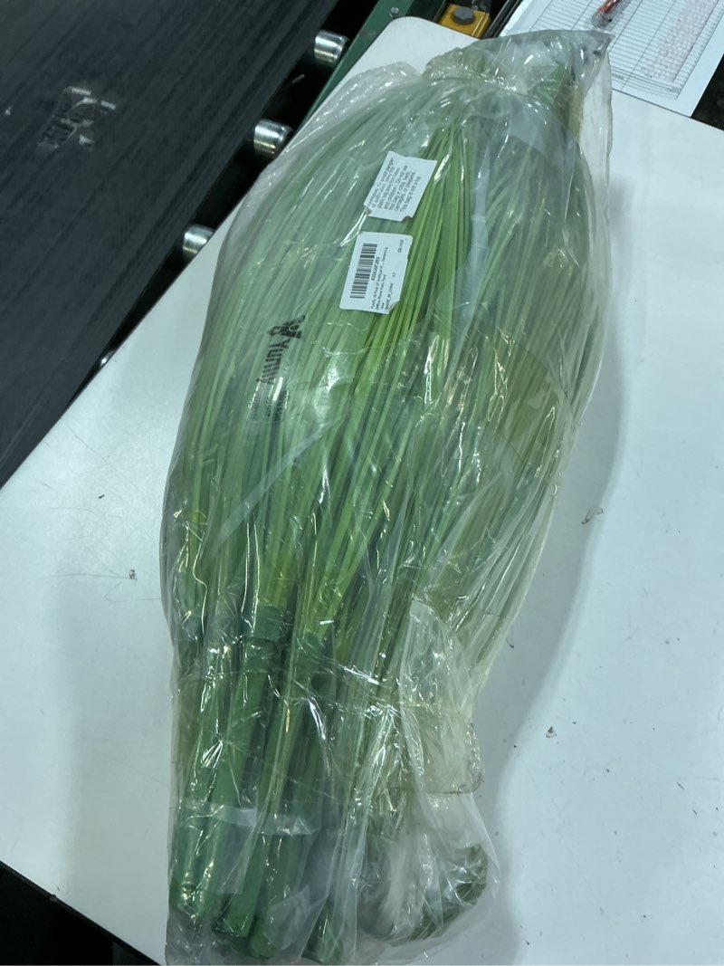 Condition photo showing New/Like New for yunlly 36 pack 27'' artificial plants onion grass greenery fake tall grass realistic faux wheat shrubs bush for outdoor patio yard indoor house home gardening office room (green,dark green) green, dark green 36