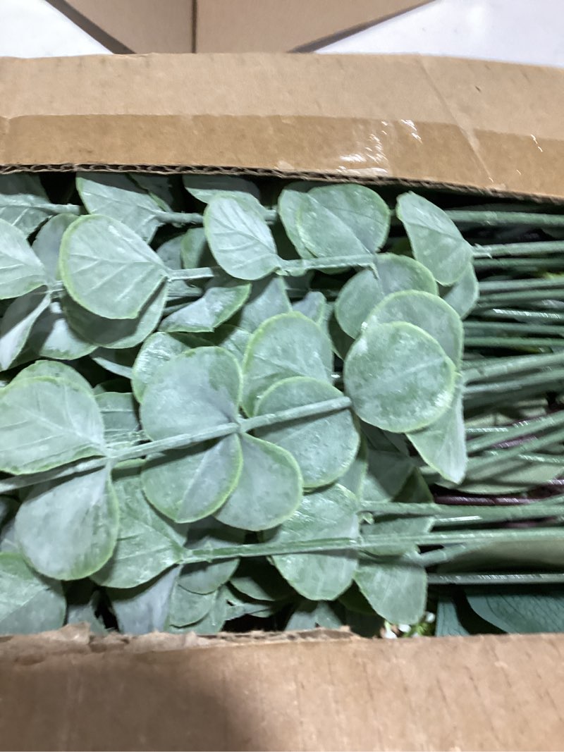 Condition photo showing Good Condition for lovemoon 130 pcs artificial mixed eucalyptusstems bulk, 5 kinds of faux greeneryeucalyptus leaves bulk for vase wedding diy bouquets floral arrangement home decor (130, green) green 130