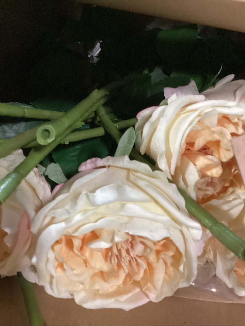 Condition photo showing New/Like New for giegxin 20 pcs real touch peonies austin roses artificial flowers, faux look real long stems fake flower with big blooms for christmas valentines wedding diy arrangement home decor (champagne)