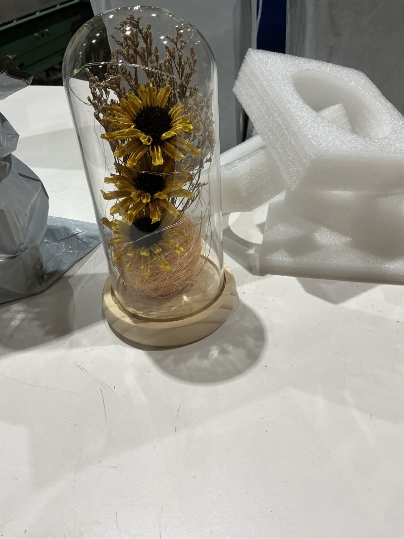 Condition photo showing Good Condition for artificial sunflower gifts for women,sunflower in glass dome with led lamp strip,eternal sunflower lamp gifts for her on christmas mother's day valentine's day,anniversary,thanksgiving,birthday