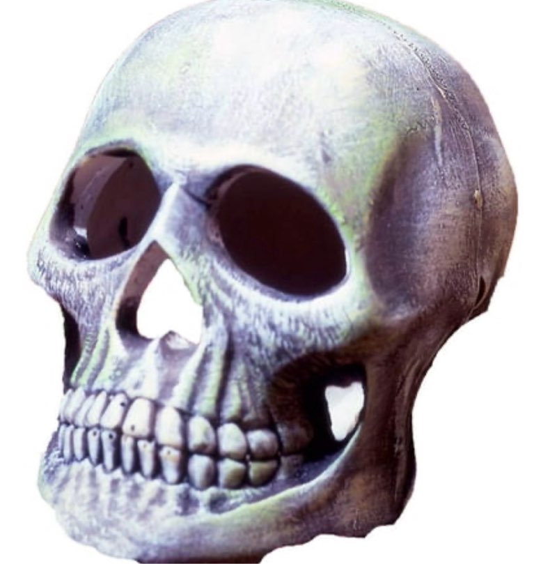 penn plax deco replicas human skull aquarium décor