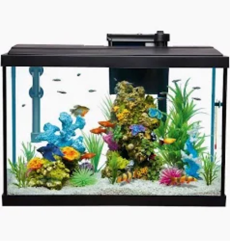 Assorted Pet Essentials, Variety of items