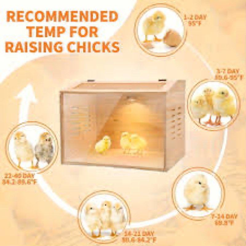Brooder Box for Chicks?Indoor Smart Wooden Poultry Brooder with Heater, Suitable for 5-10 Newborn Ch