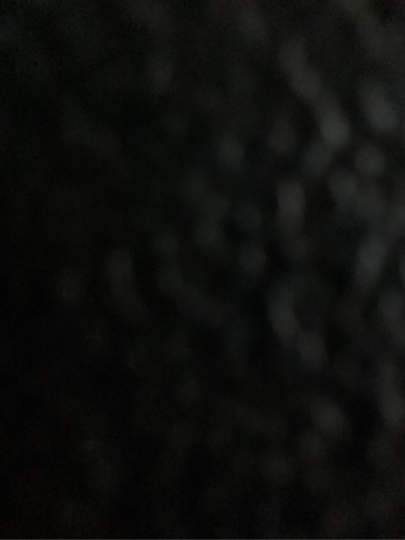 https://lotting-media.assets.bidfta.com/lotting_2beb7910-de0c-46e0-acb8-7f4905dcf0d8