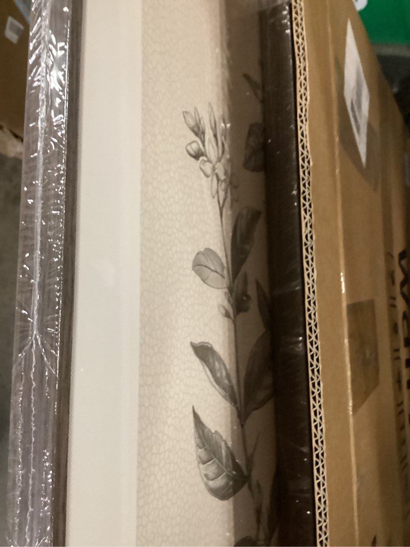 Condition photo showing New/Like New for large framed botanical wall art for living room, 3 piece neutral plant canvas painting prints artwork for walls, vintage floral illustration pictures for farmhouse bedroom kitchen wall decor, 20x30 20" w x 30" h x 3pcs vintage neutral
