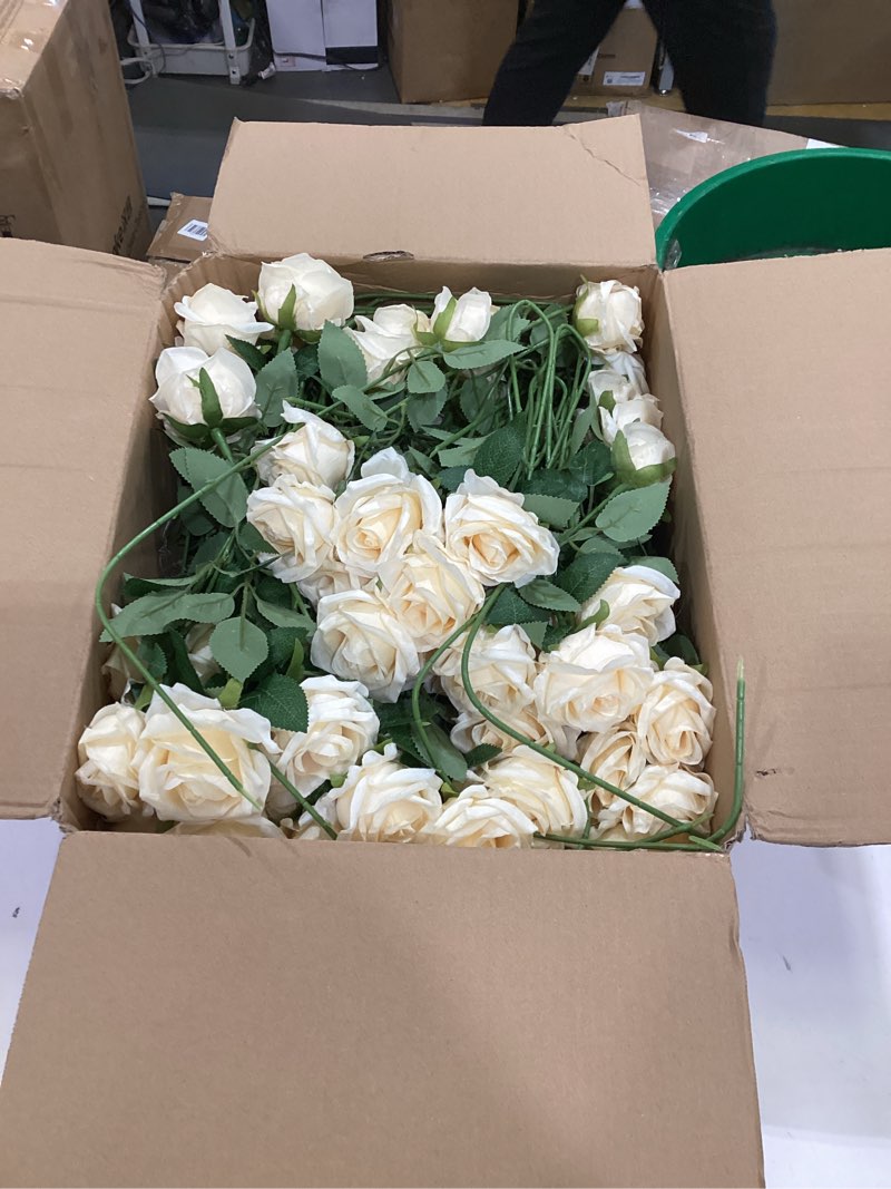 Condition photo showing As Is for Jexine 100 Pieces Artificial Roses Flowers Bulk, Long Stem Realistic Fake Silk Roses Bouquet for Table Centerpiece Vases Wedding Party Kitchen Decor (Champagne)