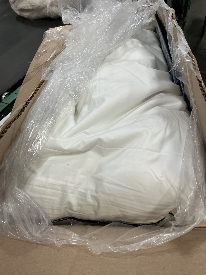 Condition photo showing As Is for Pacific Coast Bed Pillow, Luxury Hotel Goose Feather and Down Firm Pillow for Sleeping with 100% Cotton Shell, Soft and Supportive Queen (Pack of 2)