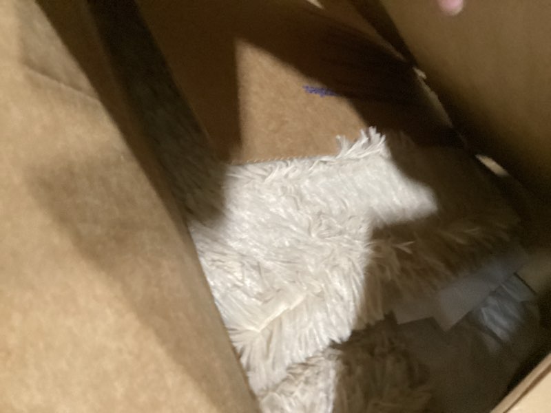 Condition photo showing Good Condition for Noahas Fluffy Beige Rugs for Bedroom Living Room,2.6'X5.3' Oval Throw Rug for Kids Room,Shag Hallway Runner Rug,Small Soft Shaggy Bedside Non-Slip Plush Nursery Dorm Carpet Home Decor Aesthetic 2'7" x 5'3" (Oval) Beige