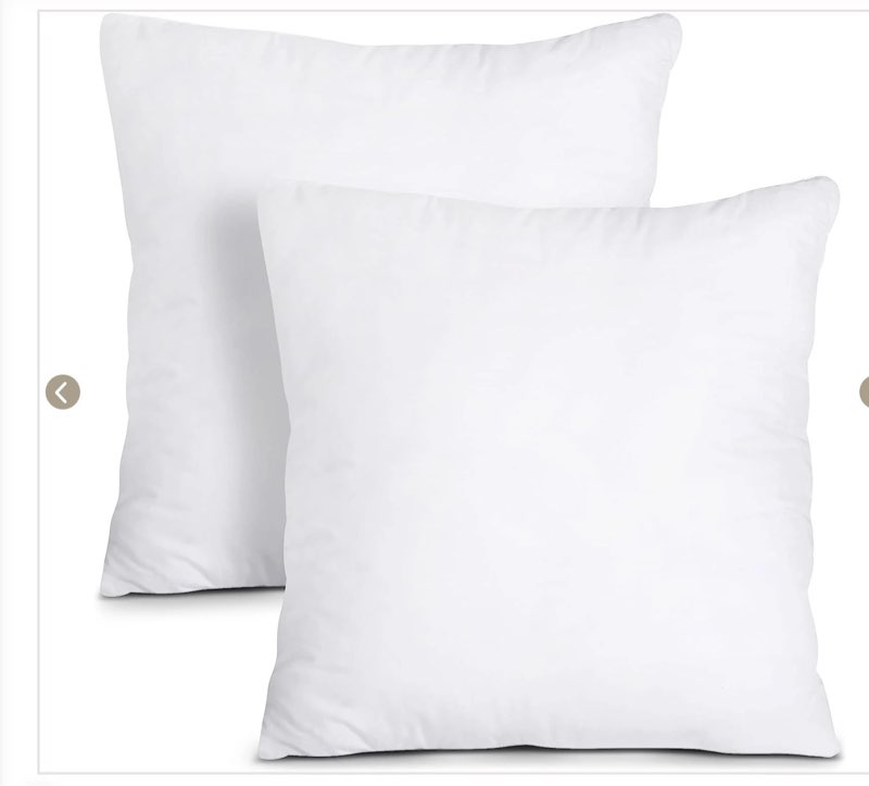 Utopia Bedding Decorative Throw Pillow Insert by Utopia Bedding (16 X 16 Inches / White)