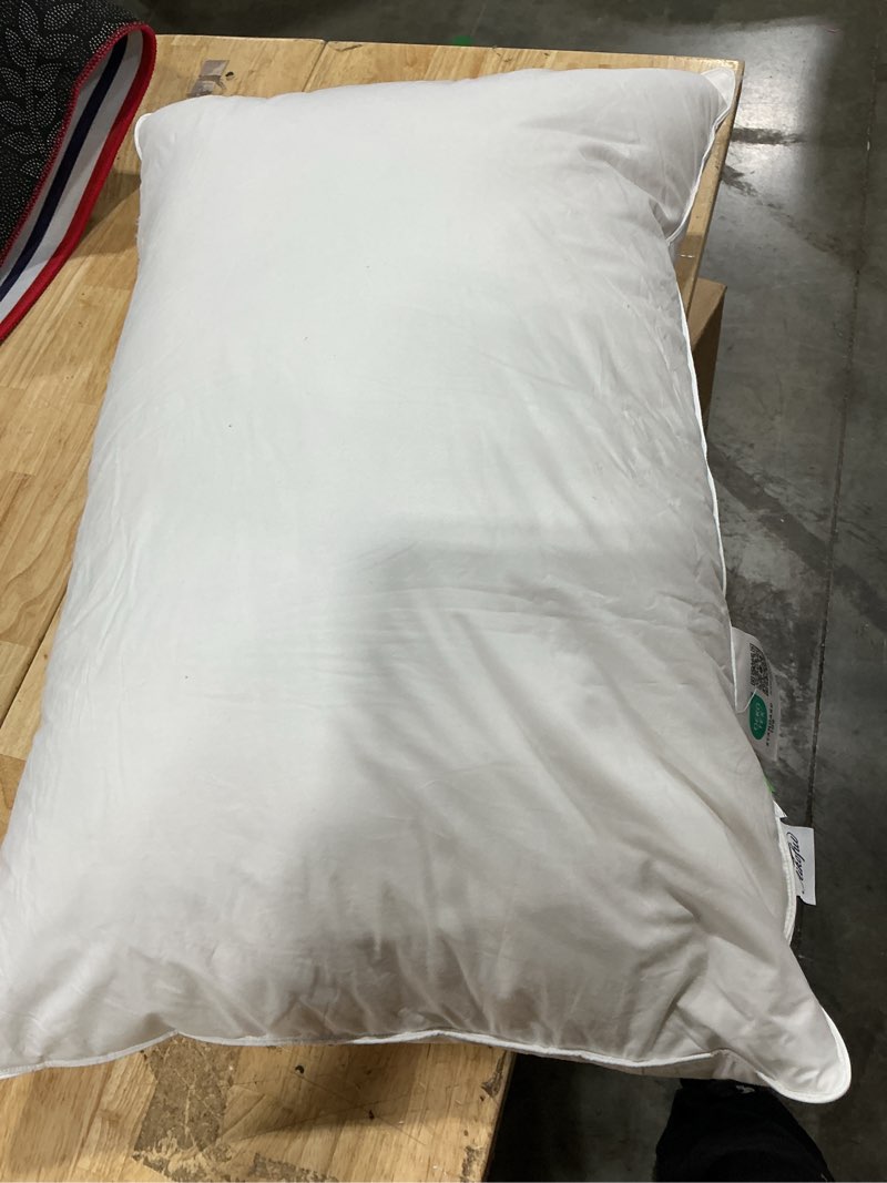 Condition photo showing As Is for ultra thin flat soft bed pillows standard size set of 1 pack for sleeping 20\"x26\", hypoallergenic skin friendly machine washable 2 pack standard