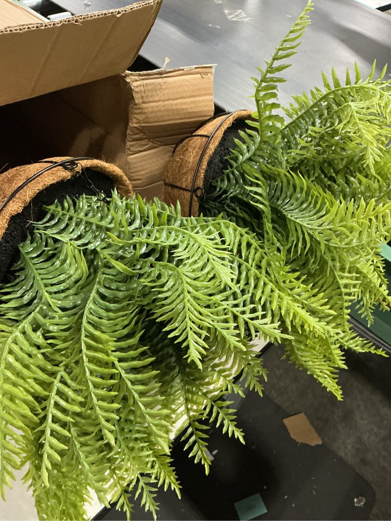 Condition photo showing Good Condition for 2 set fake ferns with hanging baskets, artificial boston ferns for outdoors, realistic fake hanging ferns plants outdoor artificial plants for front porch home décor, no assembly green x 2