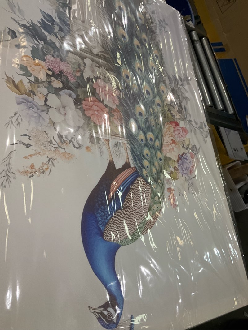 Peakcock wall to hang 24”x36”