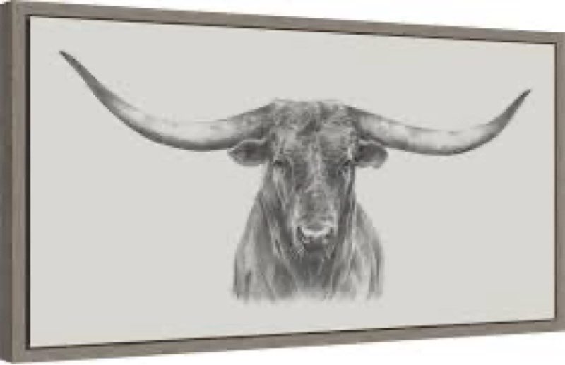 Amanti Art Framed Canvas Wall Art 14x27 Longhorn Bull by Ethan Harper, Framed Wall Art Canvas, Animals Artwork, Country Rustic Decor, Medium Poster
