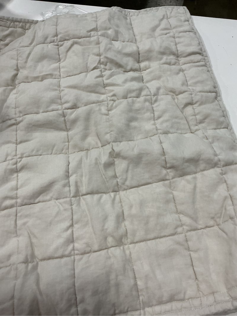 Condition photo showing Good Condition for quince european linen box quilted sham set sand standard