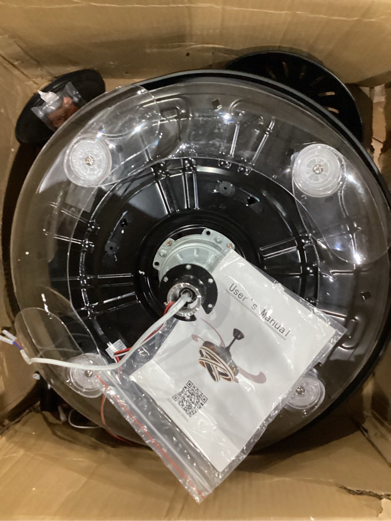 Black fan with clear blades 