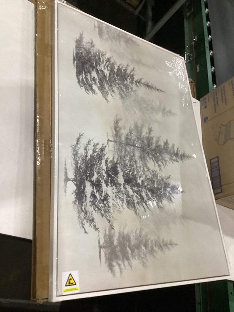 Condition photo showing New/Like New for framed black and white forest landscape wall art, modern minimalist pine tree canvas art prints, contemporary nature pictures wall decor for living room bedroom dining room hallway office 24x36 in 36"l x 24"w black and white pine tree