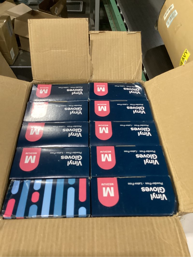 Ridex Disposable Gloves Latex-Free Clear Vinyl Gloves [1000-Count] Thick Powder-Free All-Purpose Glo